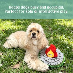 HugSmart Campsite Snuffle Mat Plush Squeaky Dog Toy, Small/Medium slide 2 of 5