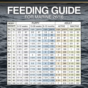 Inukshuk Performance Marine 26/16 Dog Dry Food, 33-lb bag