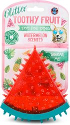 Bow Wow Watermelon Dental Squeaky Chew Dog Toy