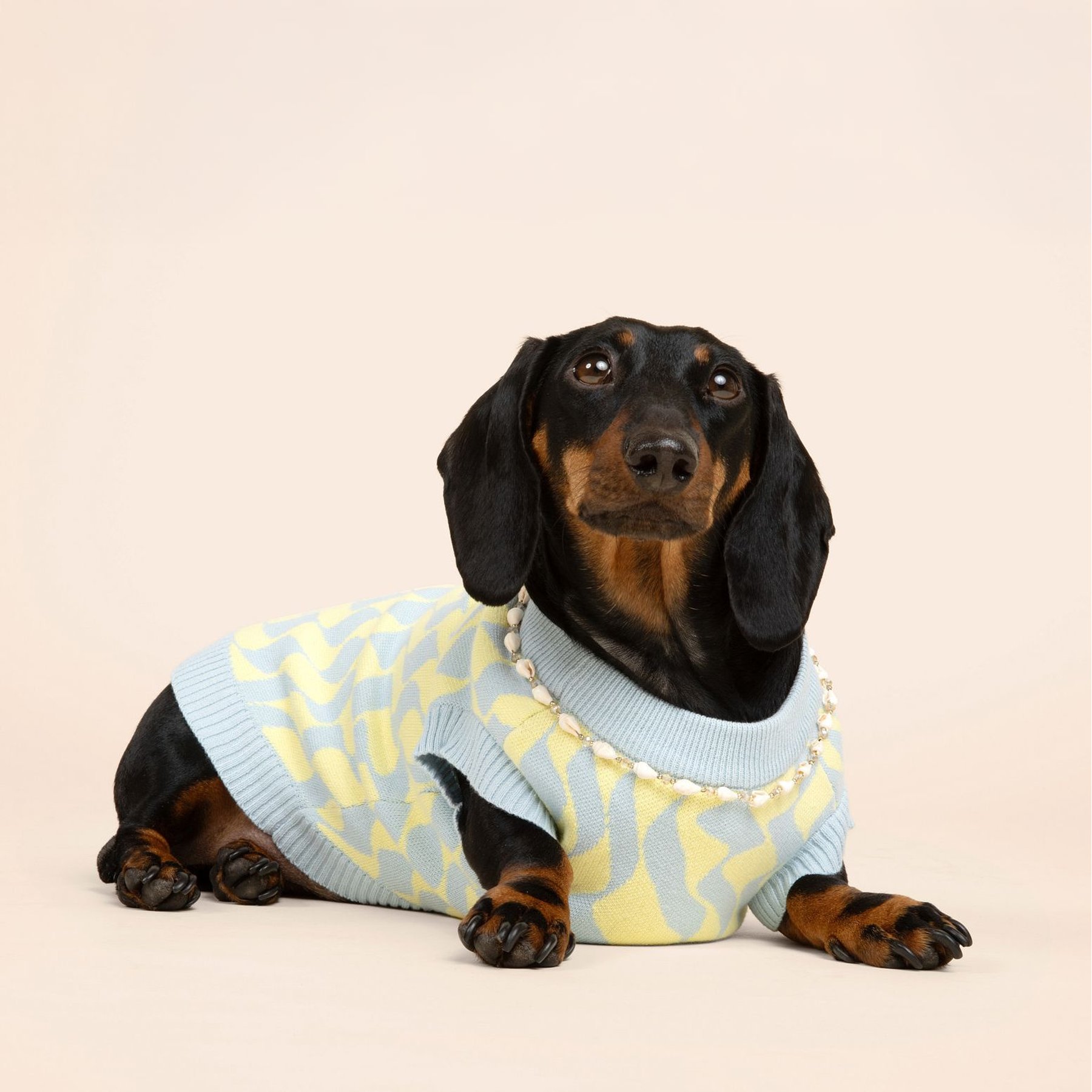 SUNBEAN Seaside Swirl Cotton Knitted Machine Washable Stripes Dog Vest, X-Large