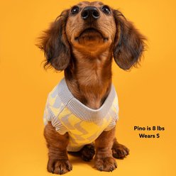 SUNBEAN Seaside Swirl Cotton Knitted Machine Washable Stripes Dog Vest, Large slide 2 of 7