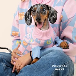SUNBEAN Shelly Roll Neck Knitted Floral Machine Washable Dog Sweater, Small slide 2 of 7