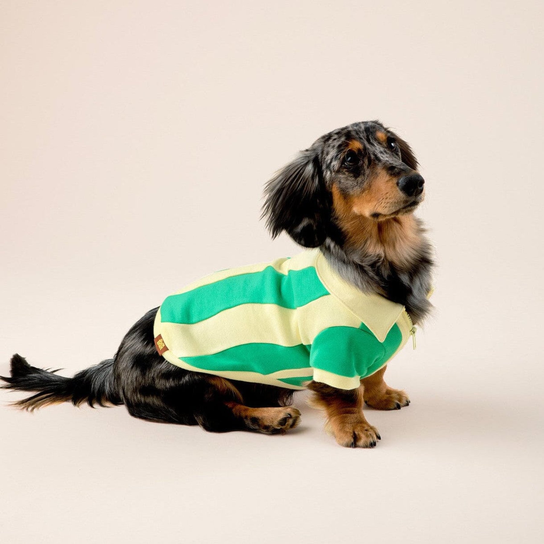 SUNBEAN Ziggy Cotton Quarter-Zip Machine Washable Stripes Pullover Dog Shirt, Butter Yellow/Fern Green, Large