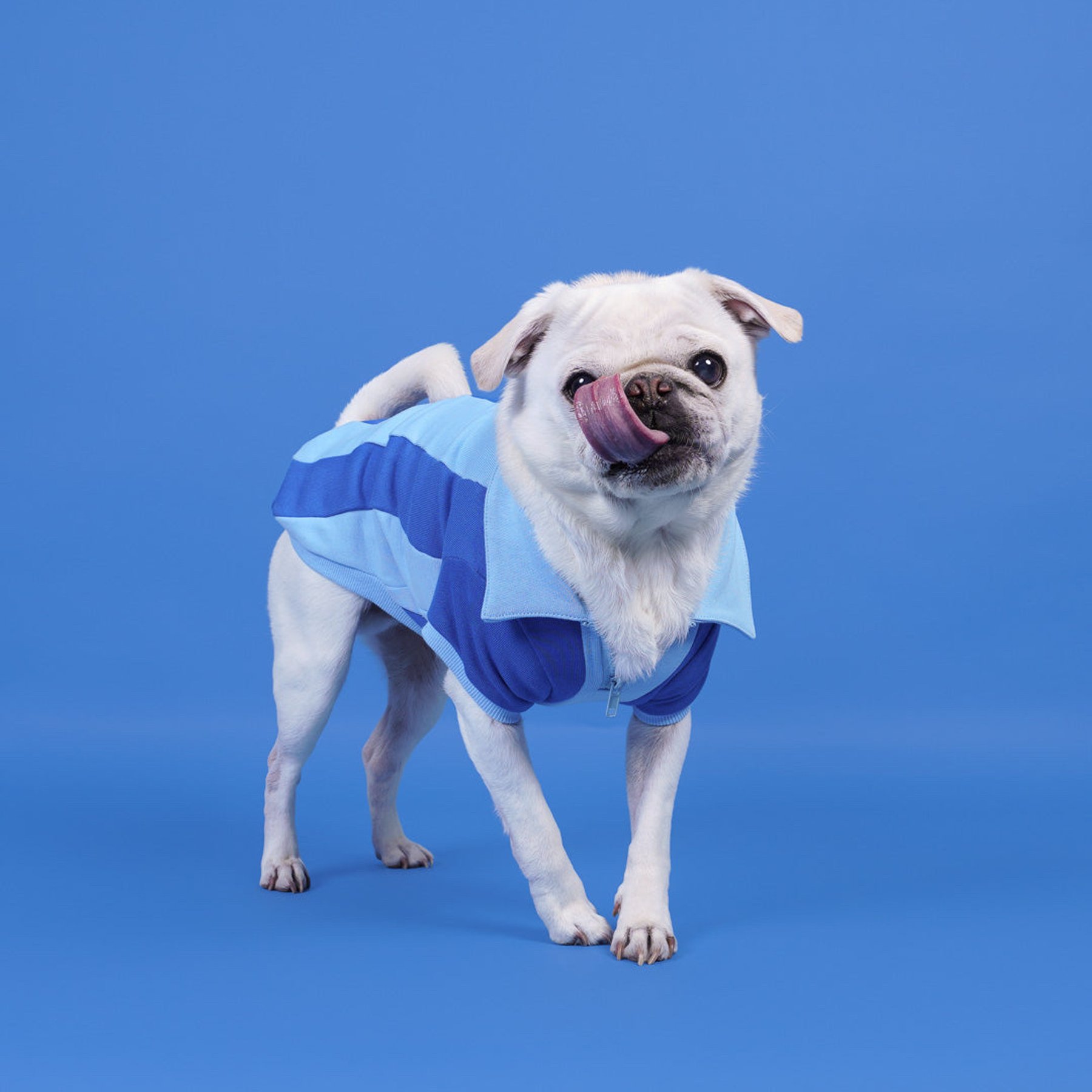 SUNBEAN Ziggy Cotton Quarter-Zip Machine Washable Stripes Pullover Dog Shirt, Steel Blue/Navy, Medium