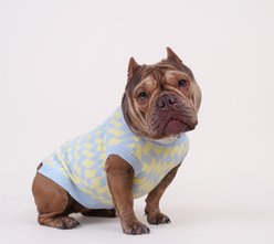 SUNBEAN Seaside Swirl Cotton Knitted Machine Washable Stripes Dog Vest, Medium slide 2 of 7