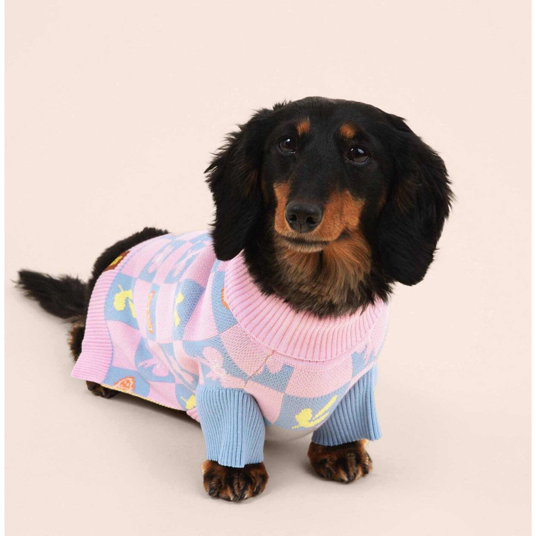 SUNBEAN Shelly Roll Neck Knitted Floral Machine Washable Dog Sweater, XX-Large