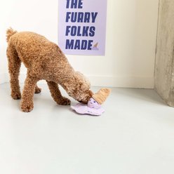 the furryfolks i-scream Nosework Plush Dog Toy slide 2 of 6