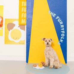the furryfolks Egg-cellent Nosework Plush Dog Toy slide 2 of 7
