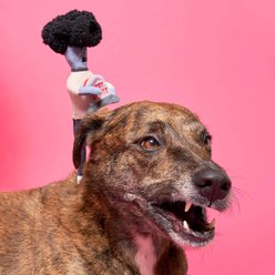 the furryfolks Zombie Nosework Plush Dog Toy slide 2 of 7