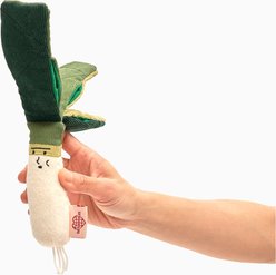 the furryfolks Green Onion Nosework Plush Dog Toy