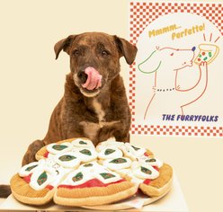the furryfolks Pizza Nosework Plush Dog Toy slide 2 of 9