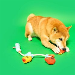 the furryfolks Fishing Nosework & Tug Plush Dog Toy slide 2 of 9