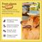 Show in main carousel: TherapetMD Dog Pheromone Calming Diffuser & Refill Kit for Stressed Dogs slide 6 of 8