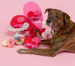 the furryfolks Love Locked Nosework Plush Dog Toy slide 2 of 9