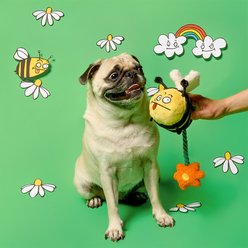 the furryfolks Bee Happy Nosework Plush Dog Toy slide 2 of 9