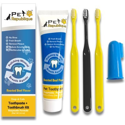Pet Republique Pet Republique Enzymatic Toothpaste Kit with Handle Toothbrushes Beef Flavor for Dogs & Cats, 3.5-fl oz