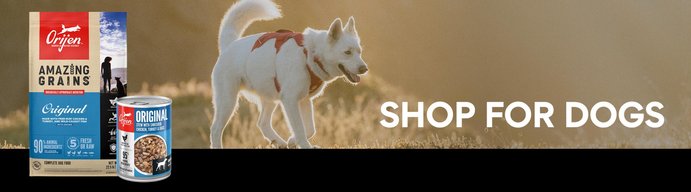 Shop for dogs