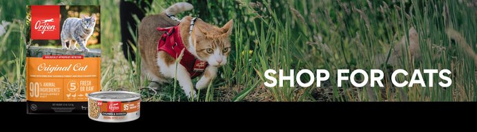 ORIJEN Dog & Cat Food - Free shipping | Chewy
