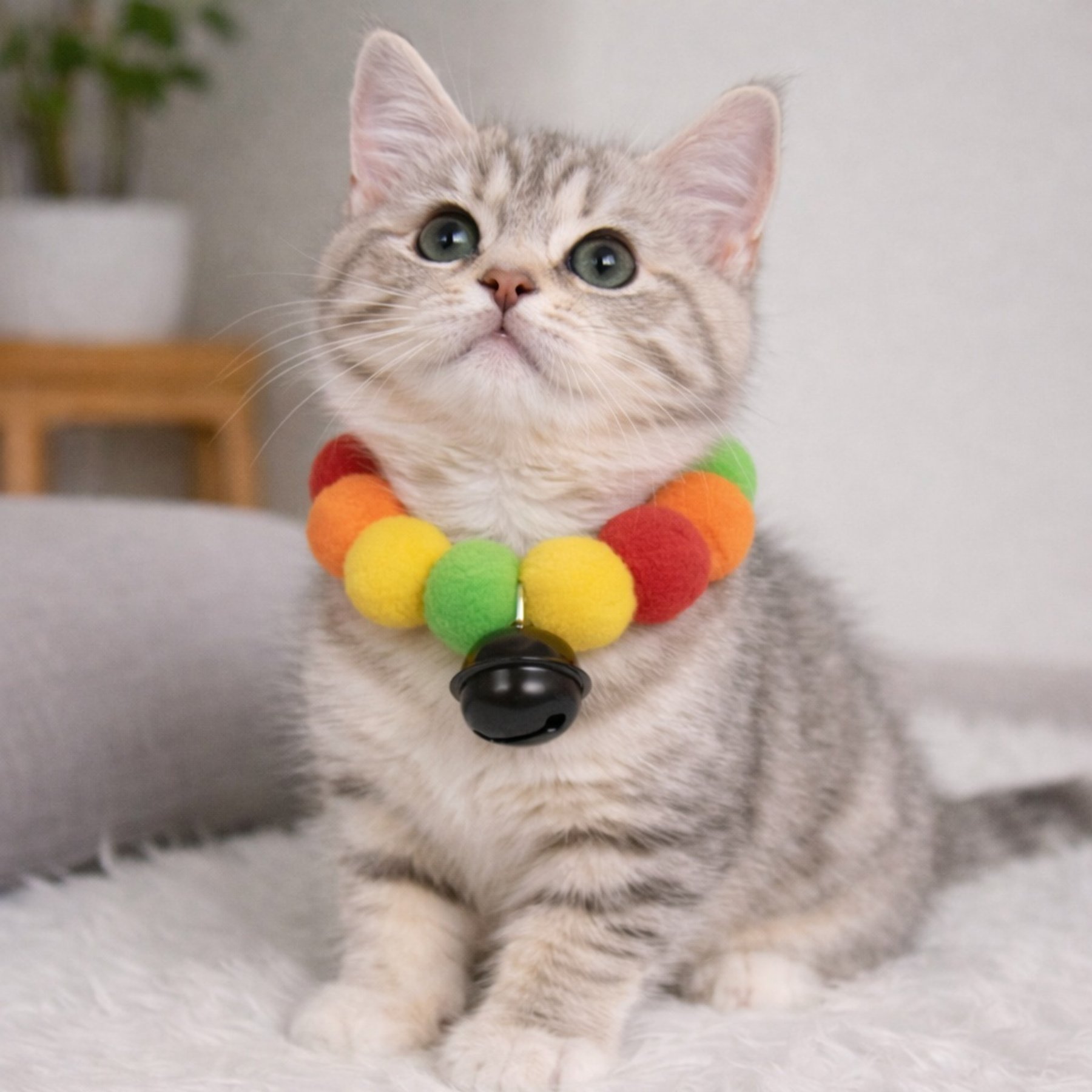 NonoPets Viral Rainbow Pom-Pom Lightweight Fashionable Jingle Bell Choker Small Dog & Cat Collar, Darker Rainbow, Small: 6-in neck, 1/2-in wide