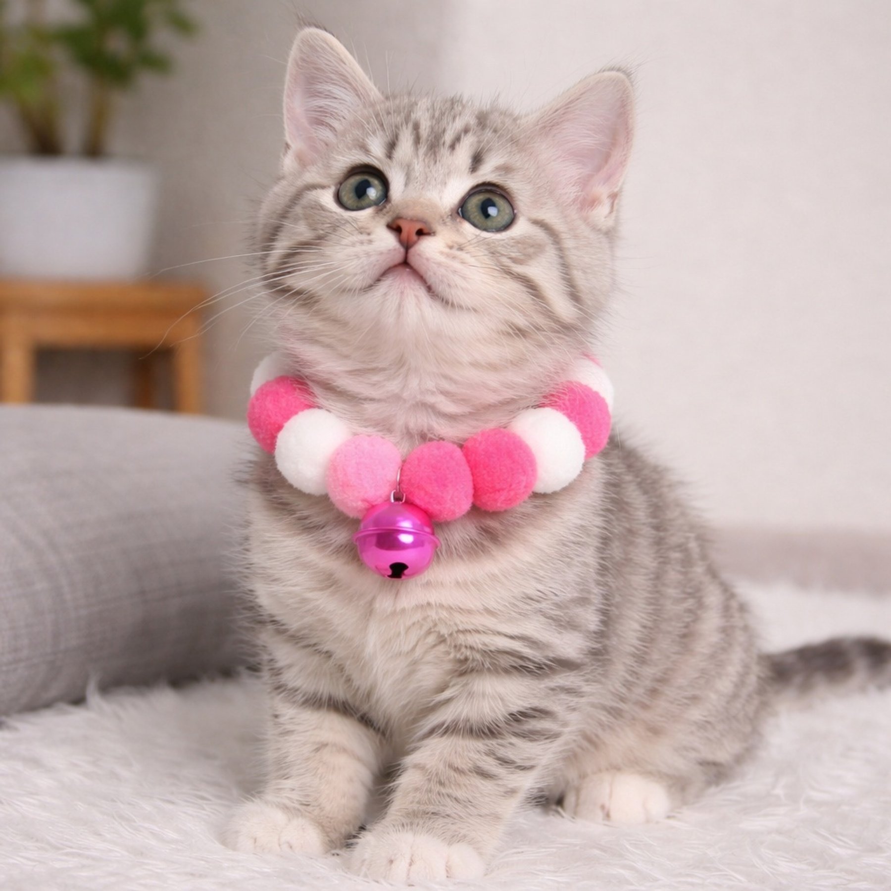 NonoPets Viral Rainbow Pom-Pom Lightweight Fashionable Jingle Bell Choker Small Dog & Cat Collar, Pink, Small: 6-in neck, 1/2-in wide