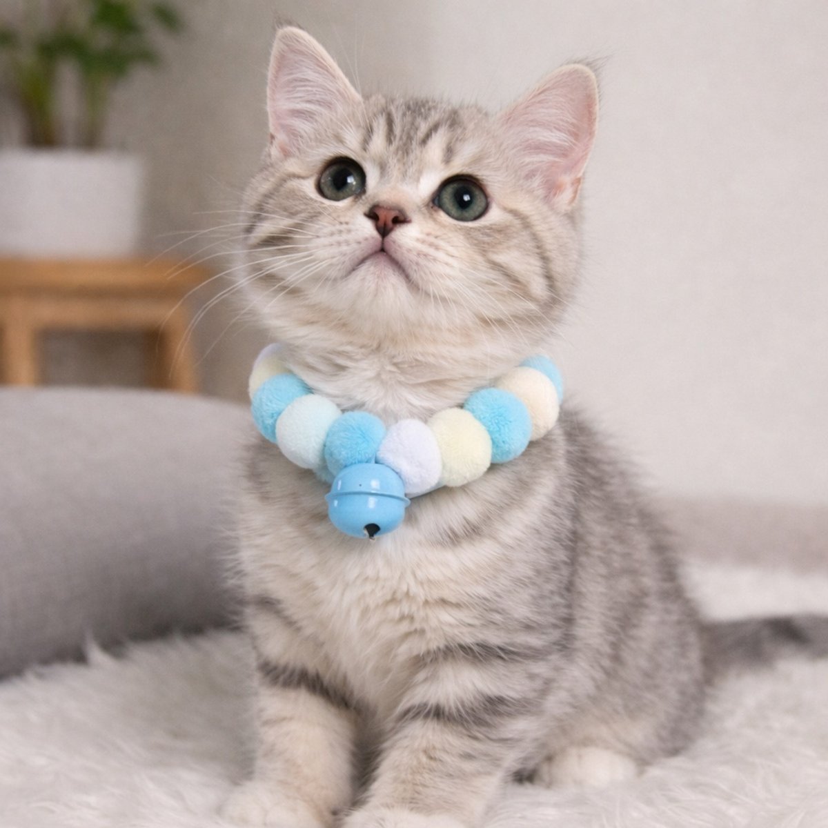 NonoPets Viral Rainbow Pom-Pom Lightweight Fashionable Jingle Bell Choker Small Dog & Cat Collar, Blue, X-Large: 12-in neck, 1/2-in wide