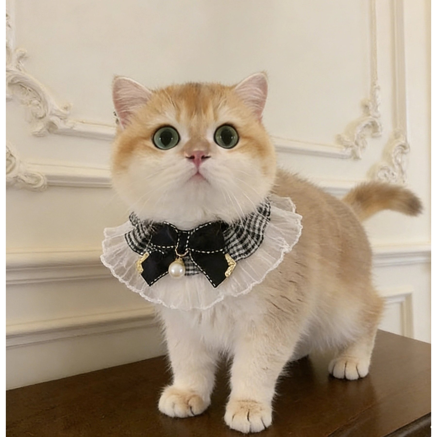 NonoPets Victorian Ruffled Lace Elegant Princess-Style Bib Vintage Velvet Ribbon Puppy & Cat Collar, X-Small: 6-in neck, 1/2-in wide