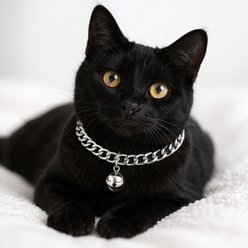 NonoPets Luxury Cuban Adjustable Link Gold Chain Dog & Cat Collar with Silver Bell, Medium: 11 to 13-in neck, 1/2-in wide slide 2 of 4