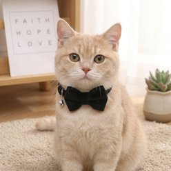 NonoPets Elegant Velvet Bow Tie Adjustable Small Dog & Cat Collar with Jingle Bell, 7.5 to 12.6-in neck, 1/2-in wide, Black slide 2 of 2