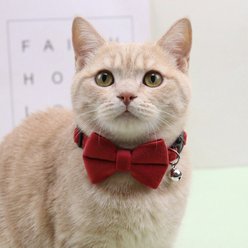 NonoPets Elegant Velvet Bow Tie Adjustable Small Dog & Cat Collar with Jingle Bell, 7.5 to 12.6-in neck, 1/2-in wide, Red slide 2 of 2