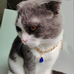 NonoPets Luxury Cuban Adjustable Link Gold Chain Dog & Cat Collar with Blue Pendant, Small: 8.7 to 11-in neck, 1/2-in wide