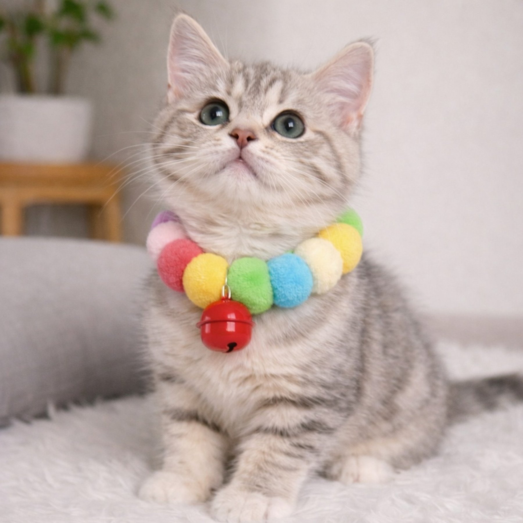 NonoPets Viral Rainbow Pom-Pom Lightweight Fashionable Jingle Bell Choker Small Dog & Cat Collar, Lighter Rainbow, Medium: 8-in neck, 1/2-in wide