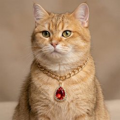 NonoPets Luxury Cuban Adjustable Link Gold Chain Dog & Cat Collar with Red Pendant, Medium: 11 to 13-in neck, 1/2-in wide slide 2 of 2