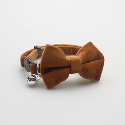NonoPets Elegant Velvet Bow Tie Adjustable Small Dog & Cat Collar with Jingle Bell, 7.5 to 12.6-in neck, 1/2-in wide, Brown