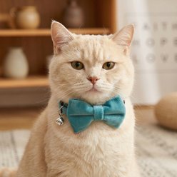 NonoPets Elegant Velvet Bow Tie Adjustable Small Dog & Cat Collar with Jingle Bell, 7.5 to 12.6-in neck, 1/2-in wide, Turquoise slide 2 of 2