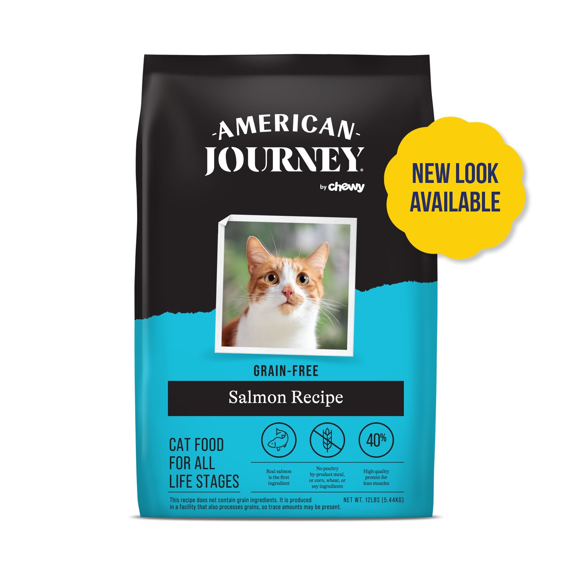 indoor wet cat food Wellness CORE Natural Grain Free Indoor Chicken and Chicken Liver Smoo   Concord Pet Foods & Supplies| Delaware, Pennsylvania, New Jersey, Maryland