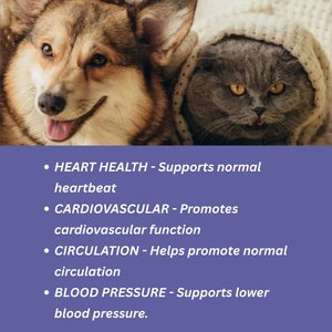 TwoHearts Pets Tracker’s Happy Heart Care Powder Supplement for Dogs & Cats, 4-oz box, 60 count