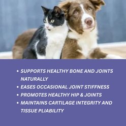 TwoHearts Pets Milo’s Joyful Hip & Joint Support Powder Supplement for Dogs & Cats, 4-oz box, 60 count slide 2 of 5