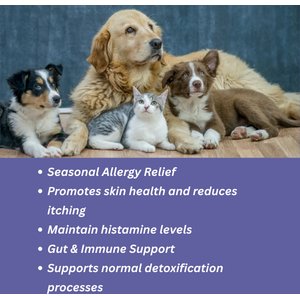 TwoHearts Pets Calvin’s Stop-That-Licking Allergy Relief Powdered Supplements for Dogs & Cats, 4-oz box, 60 count