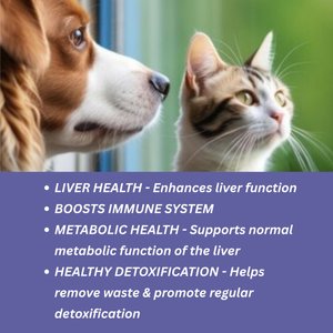 TwoHearts Pets Lou’s Liver Care Revitalize Powder Supplement for Dogs & Cats, 4-oz box, 60 count