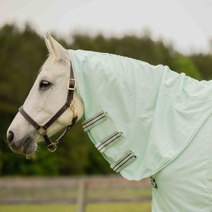 HORSEWARE Amigo Bug Buster Vamoose with No Fly Zone Horse Fly