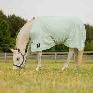 HORSEWARE Amigo Bug Buster Vamoose with No Fly Zone Horse Fly