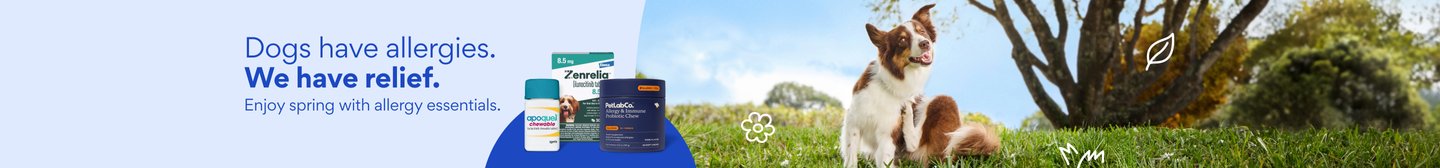 Dogs have allergies. We have relief. Enjoy spring with allergy essentials.