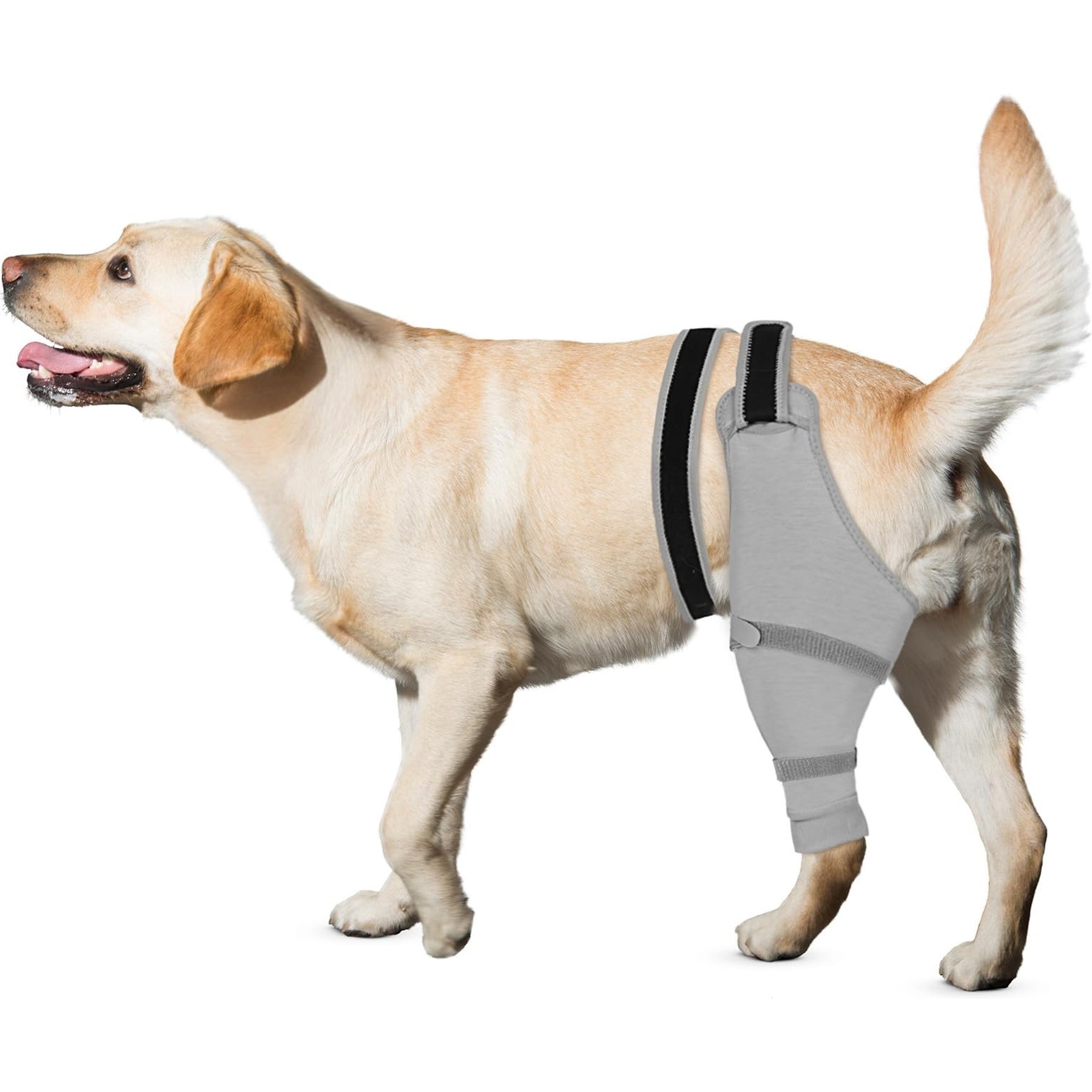 Supet Rear Single Leg Dog Sleeve-Wrap to Prevent Licking, Grey, Left, Medium