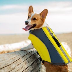 Canada Pooch Wave Rider Life Vest Dog Life Jacket, Yellow, Medium slide 2 of 5