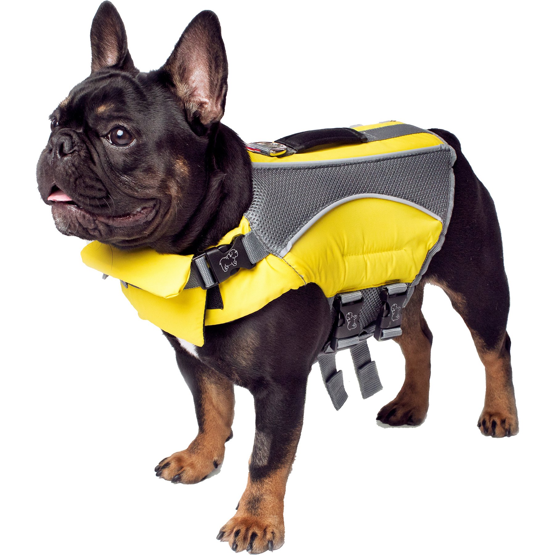 Canada Pooch Wave Rider Life Vest Dog Life Jacket, Yellow, Medium