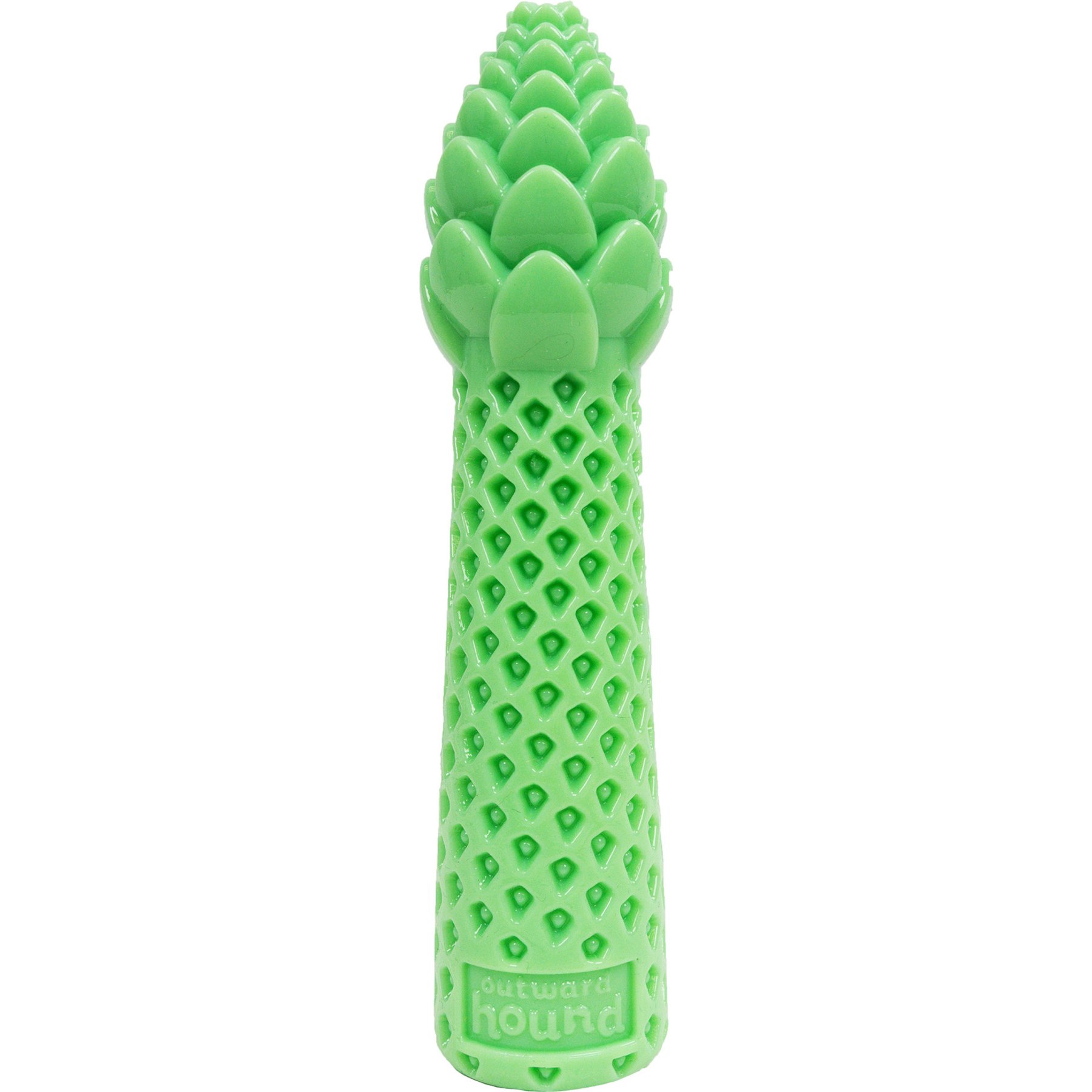Pupstages Dental Asparagus Mint Scent Treat-Stuffer Dog Toy, Green, Medium