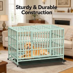 Fuzzy Bird Heavy-Duty Dog Crate with Tray, Wheels & Lock, Green, Large: 48-in slide 2 of 7