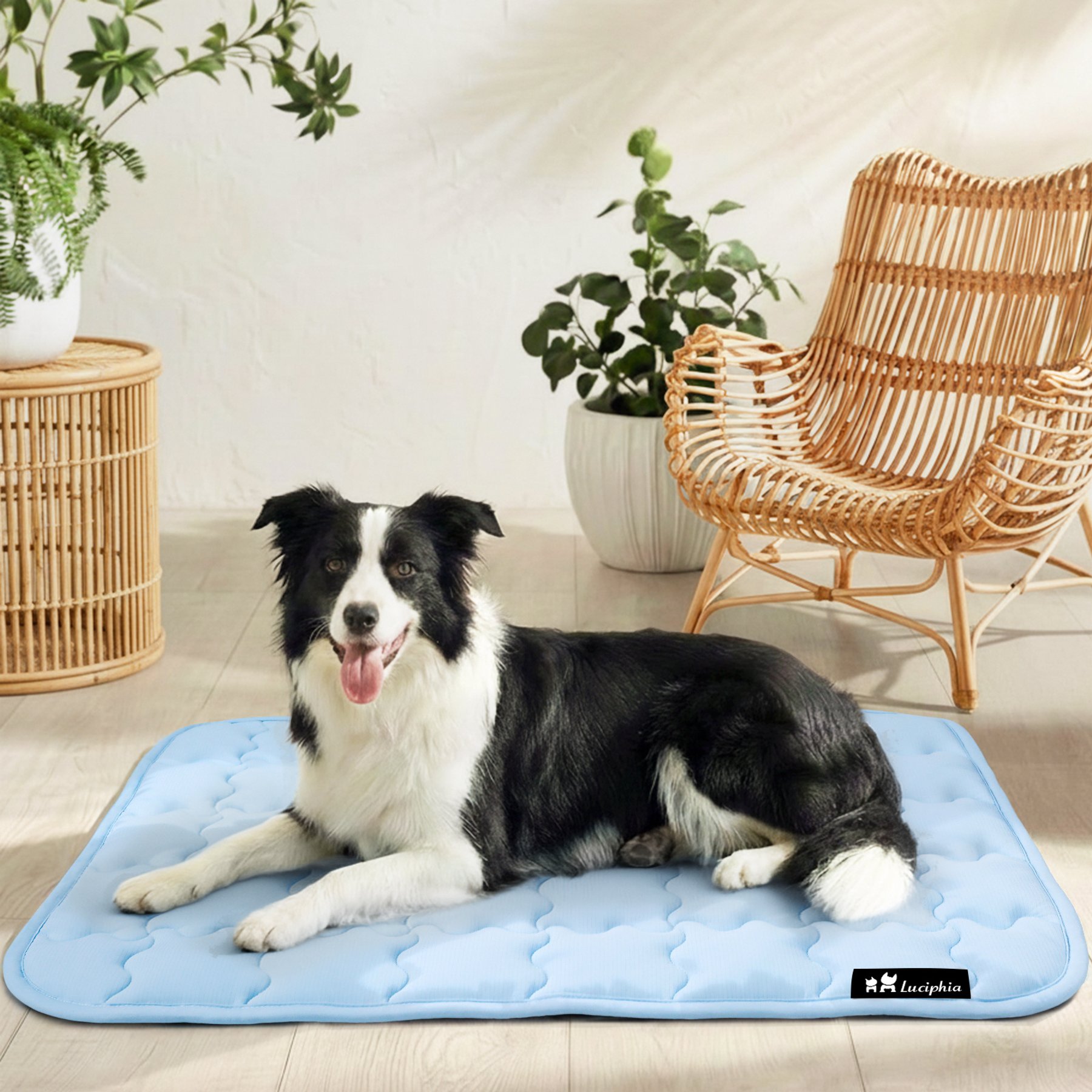 Luciphia Non-Slip Washable Summer Pad Portable Bed Cooling Dog Crate Mat, Blue, 40 x 60-in