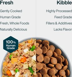 JustFoodForDogs Pantry Fresh Beef, Chicken & Turkey Variety Pack Dog Fresh Food, 12.5-oz bag, case of 6 slide 2 of 9