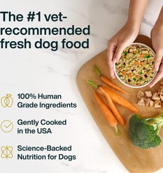 JustFoodForDogs Turkey & Whole Wheat Macaroni Recipe Frozen Human-Grade Fresh Dog Food, 18-oz pouch, case of 7 slide 2 of 9